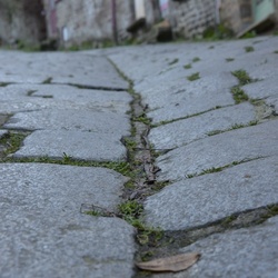 2016-12 France/Dinan/DSC_0168.JPG